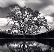 Photograph by Michael Kenna available from A Gallery for Fine Photography in New Orleans, LA, March 2023, 011623