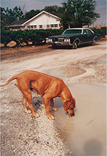 Color photography by William Eggleston on exhibition at David Lusk Gallery in Nashville, Tennessee, January 3 - February 4, 2023, 012523