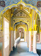 Color photograph by Karen Knorr available from Holden Luntz Gallery in Palm Beach, Florida, June 2023, 051623