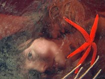 Artwork by Laure Prouvost on exhibition at Lisson Gallery in New York, September 7 - October 14, 2023, 081223