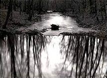 Black and white landscape photography by Paul Caponigro on exhibtion at Pucker Gallery in Boston, September 9 - October 16, 2023, 082723