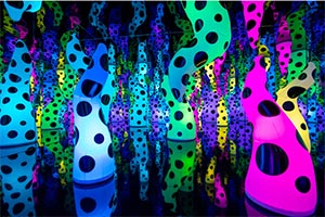 Artwork by Yayoi Kusama at Perez Art Museum Miami, 093023