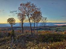 Color landscape photography by Andrew Moore on exhibition at Yancey Richardson in New York, November 16 - January 6, 2024, 111423