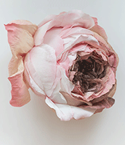 Artwork by Tiffanie Turner on exhibition at Eleanor Harwood in San Francisco, September 9 - November 18, 2023, 092923