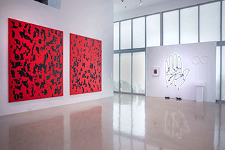 artwork on display at The de la Cruz Collection in Miami, 102222