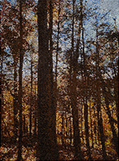 Forest painting by Kirstin Lamb on exhibition at Gallery NAGA in Boston, September 2 - 27, 2025, 081025