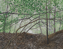 Landscape painting by Pam Posey on exhibition at Diane Rosenstein Gallery in Los Angeles, CA, July 18 - August 28, 2025, 080925