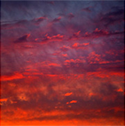 Artwork by Carolyn Marks Blackwood Von Lintel Gallery in Santa Monica, CA, September 6 - October 25, 2025, 090625