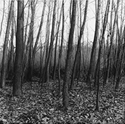 Black and white photograph by Peter Hujar on exhibition at Fraenkel Gallery in San Francisco, September 4 - October 25, 2025, 072025