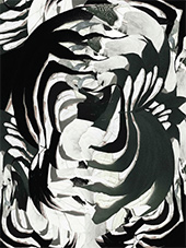 Artwork by Anne Rowland on exhibition at Hemphill in Washington, DC, November 18 - December 20, 2025, 111425