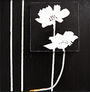 Don Hershman artwork in Still Still at Wessling Contemporary San Francisco November 6 - December 20 2025 120425