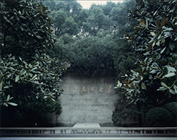 Photograph by Thomas Struth at Pérez Art Museum Miami