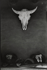 Dan Budnik black and white photograph in exhibition O'Keeffe at Home at Etherton Gallery in Tucson Arizona January 20 to April 11 2026, 030626