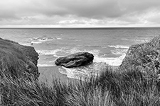 Isabelle Perreau black and white photographs in Nature—Refuge at Archway Gallery in Houston Texas March 7 to April 2 2026