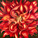 Mary Ahern floral Painting the artist lives on Long Island, in New York