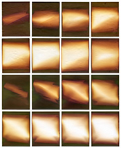 Moira McDonald photography in Locomotion of Light & Time at Chung 24 Gallery in San Francisco March 4 to April 25 2026, 030626