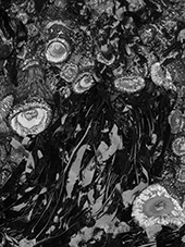 Ron Jude black and white photograph on exhibition at Gallery Lusisotti in Los Angeles January 9 to March 7 2026 012326