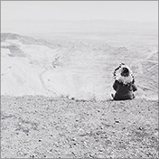 Zig Jackson photograph in Altered Lands and the Anthropocene at Nevada Museum of Art in Reno Nevada March 28 to September 20 2026, 031126