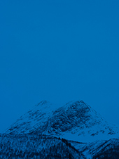 Catherine Opie artwork in Holding Blue at Regen Projects in Los Angeles California May 28 to July 3 2026