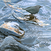 Sherrie York print in The Pull of the Plate at Ann Korologos Gallery in Basalt Colorado May 16 to June 9, 2026