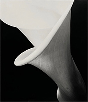 Vincent Vallarino vintage photograph available from Taylor Graham gallery in Stamford Connecticut March 2026