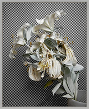 Stephanie Syjuco photograph on exhibition in Slice of the Pie at Fraenkel Gallery in San Francisco California May 28 to Aug 15 2026