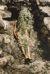 Ana Mendieta photograph in From the Center: Looking at Lucy Lippard at Museum of Contemporary Art in Chicago Illinois August 1 to July 11 2027