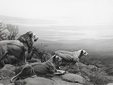 Hiroshi Sugimoto photograph in Unnatural Habitat at Lisson Gallery in Chelsea New York September 15 to October 24 2026